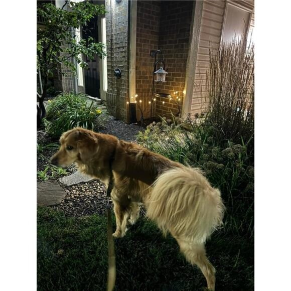 Solar Swaying Garden Lights – Wind‑Activated Warm White Outdoor Patio and - Picture 9 of 9